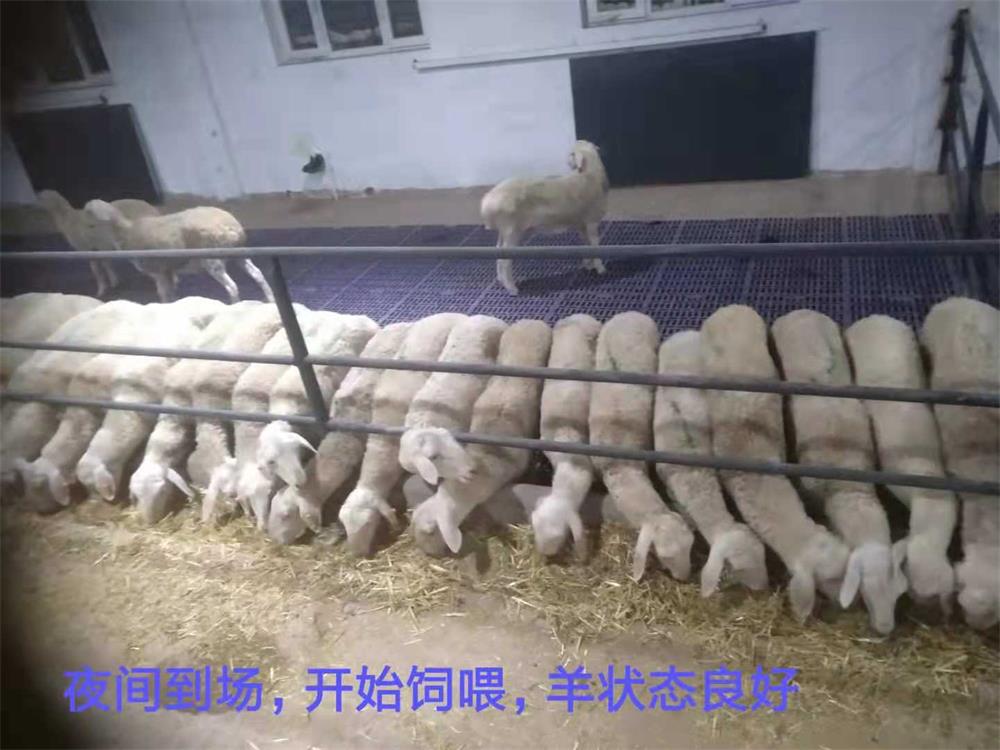 微信(xin)圖片_20191203135909.jpg